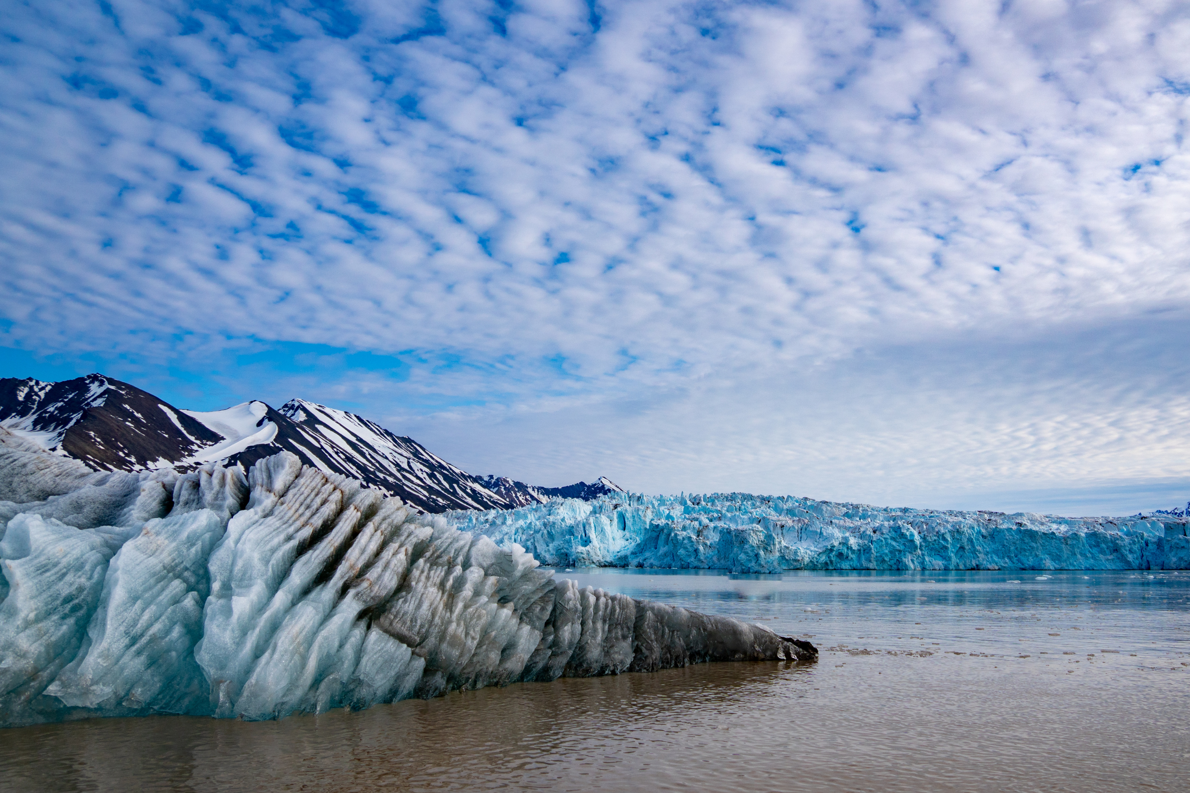 isflakbukta, phippsøya (3).webp